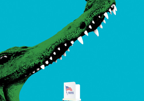 The Impact of Voter Turnout in Central Florida